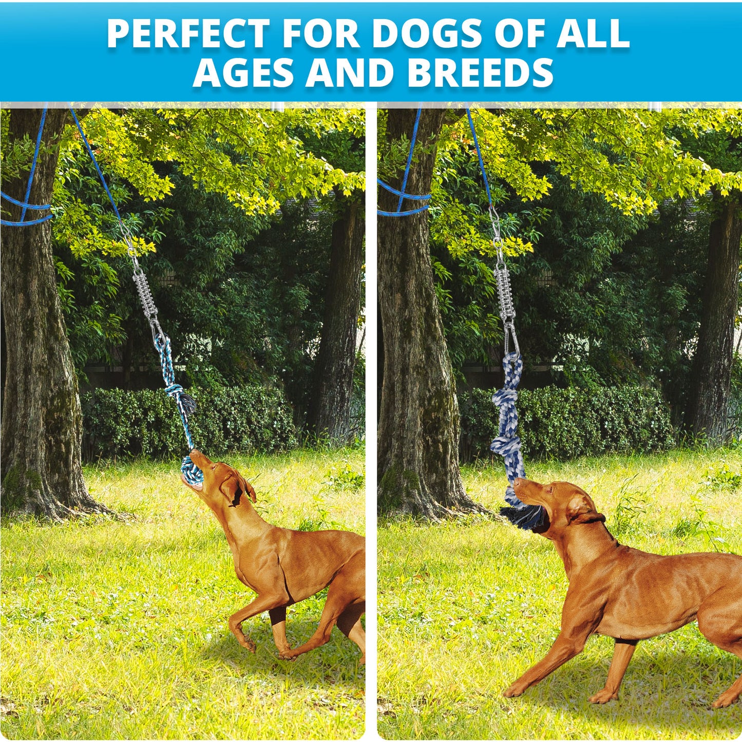 TT TRSMIMA Spring Pole Rope Toys: Rope Pull & Tug of War with a Big Spring Pole Kit & 2 Strong 16ft Toys - Muscle Builder Interactive Toy for Pitbull Medium to Large Dog